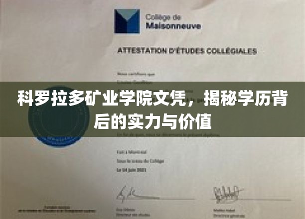 科罗拉多矿业学院文凭，揭秘学历背后的实力与价值