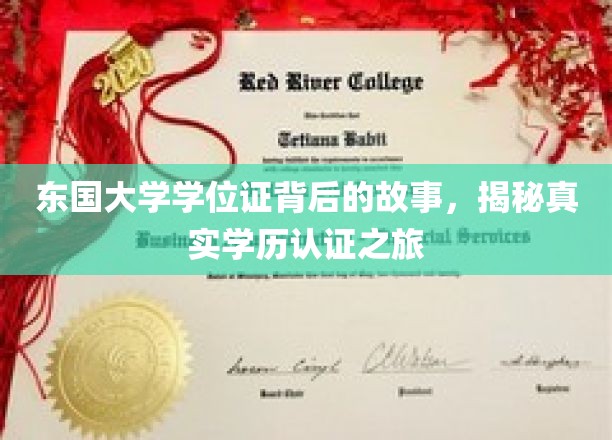 东国大学学位证背后的传奇，探秘学历认证的真实历程