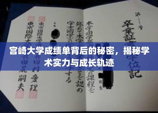 宫崎大学成绩单里的隐藏故事，解码学子实力与成长历程