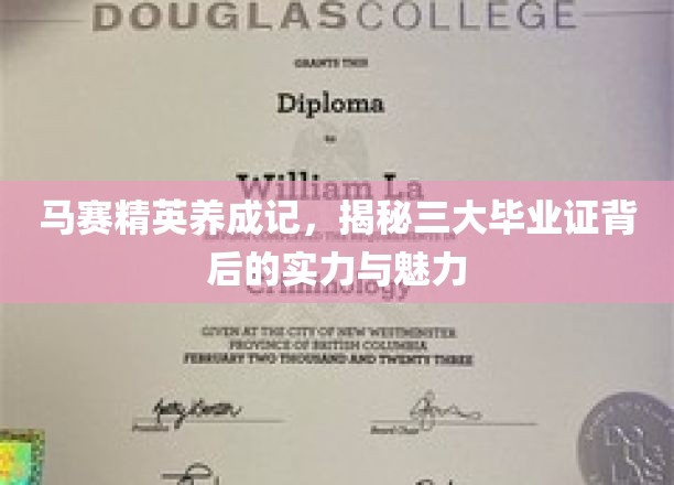 马赛学院精英养成揭秘，三大毕业证背后的非凡实力与独特风采