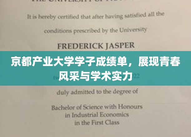 京都学子风采录，产业精英的青春学术之旅
