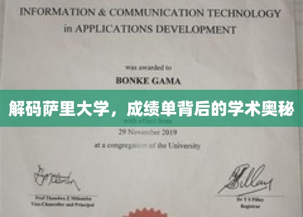 萨里大学揭秘，成绩单背后的学术秘密大公开