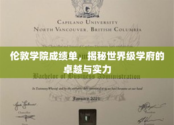伦敦学院成绩单，揭秘世界级学府的卓越与实力
