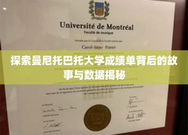 揭开曼尼托巴托大学成绩单的神秘面纱，数据背后的故事深度解析