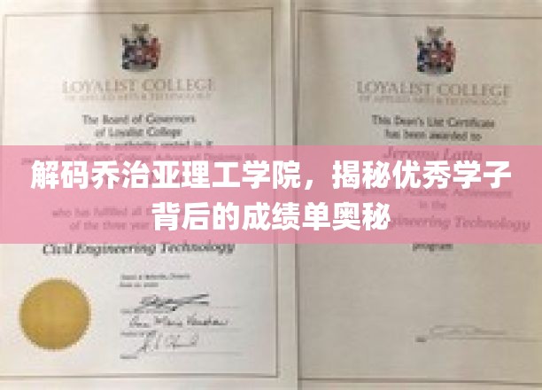 解锁乔治亚精英之路，揭秘顶尖学子卓越成绩的秘密