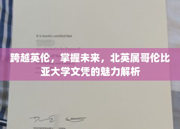 跨越英伦，掌握未来，北英属哥伦比亚大学文凭的魅力解析