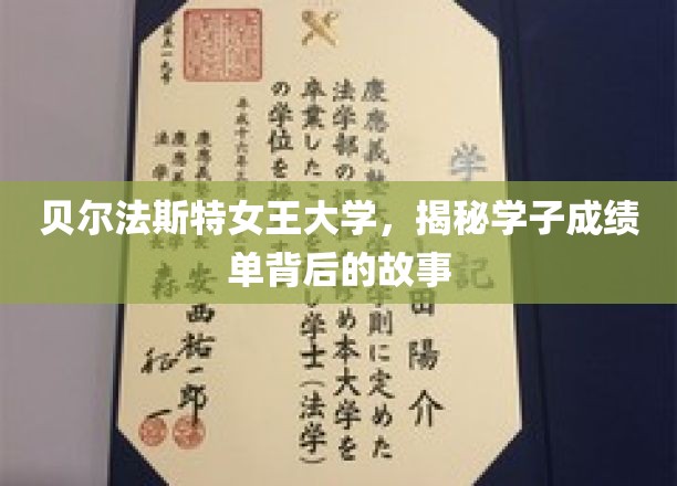 探寻贝尔法斯特女王大学学子成绩单背后的精彩人生