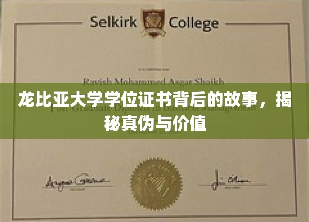 龙比亚大学学位证书背后的故事，揭秘真伪与价值
