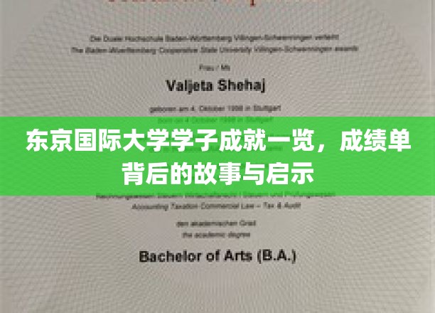 解码东京国际大学精英之路，学子成就背后的传奇与启示