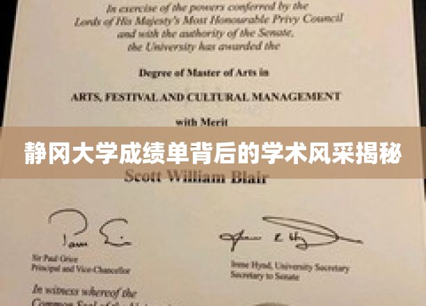 探寻静冈大学成绩单背后的学术魅力之光