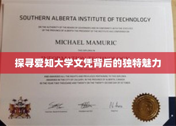 解码爱知大学，文凭背后的不凡魅力