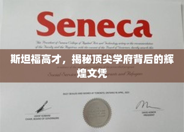 斯坦福精英解码，揭秘顶尖学府的璀璨文凭背后的故事