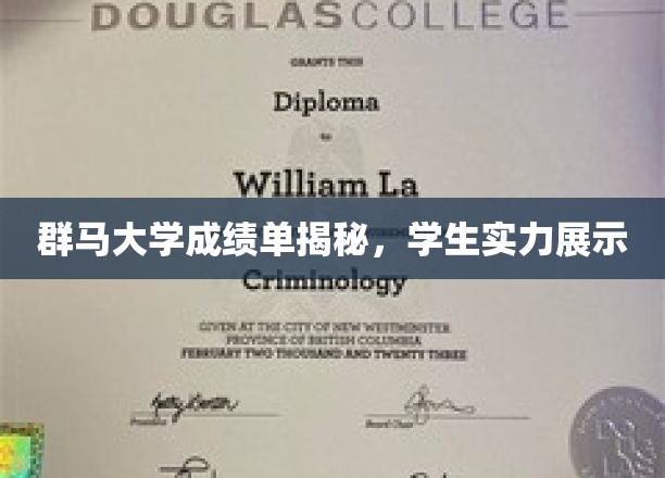 群马大学学子风采，揭秘真实成绩单背后的实力与潜力