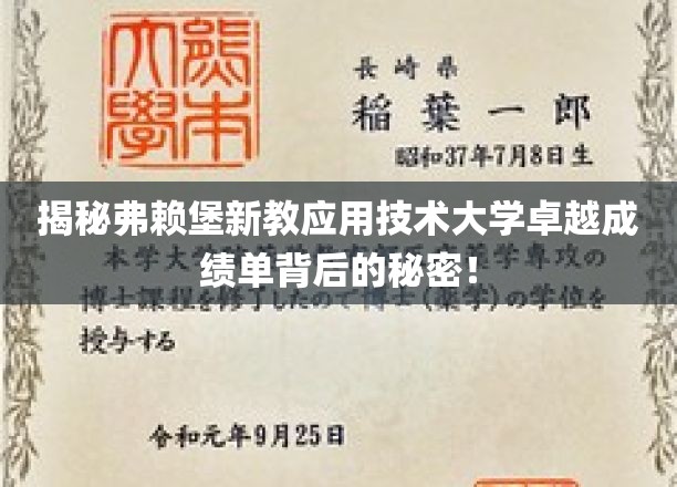 探秘弗赖堡新教应用技术大学，卓越成绩单背后的惊人真相