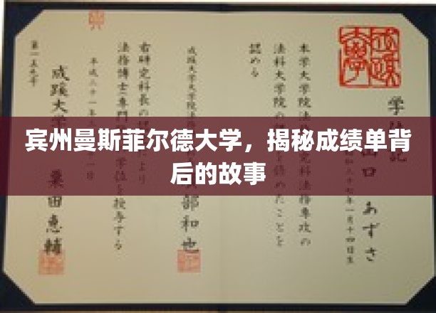 宾州曼斯菲尔德大学，揭开成绩单背后的精彩篇章