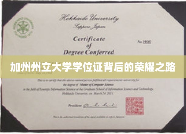 加州梦的学位证，探寻加州州立大学的荣耀征途