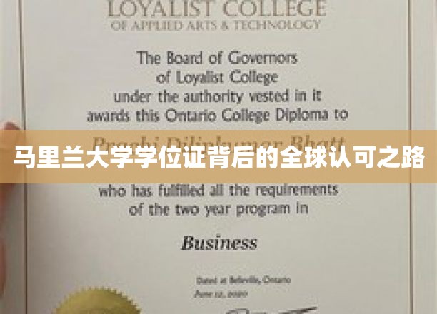 国际通行证，马里兰大学学位证的全球影响力探索