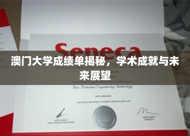 解码澳门大学成绩单，揭秘学子成就与无限潜能