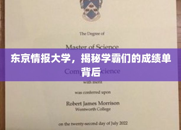 东京情报大学，揭秘学霸们的成绩单背后