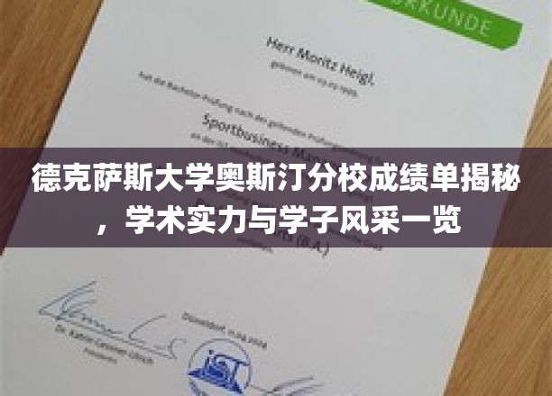 德州名校风采尽展，奥斯汀分校学子成绩单背后的学术传奇