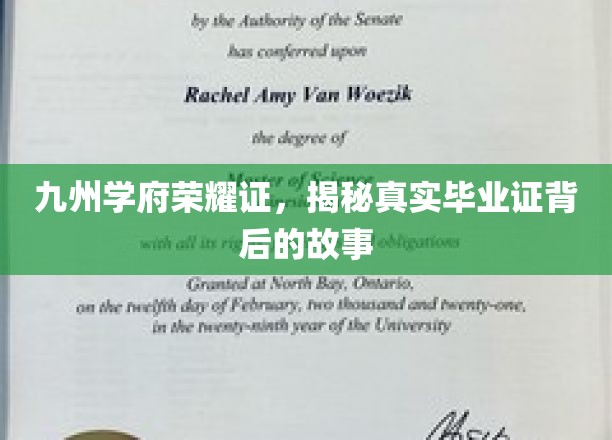 九州学府荣耀印记，一纸毕业证背后的传奇之旅