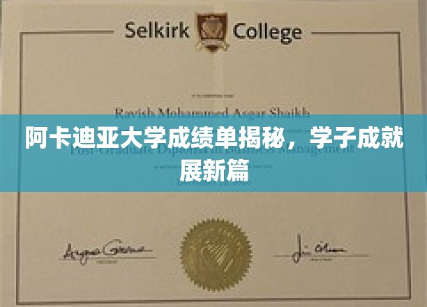 阿卡迪亚大学成绩单揭秘，学子成就展新篇