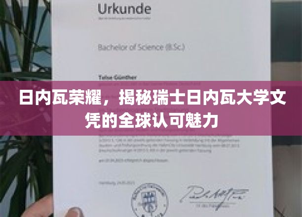 日内瓦荣耀，揭秘瑞士日内瓦大学文凭的全球认可魅力