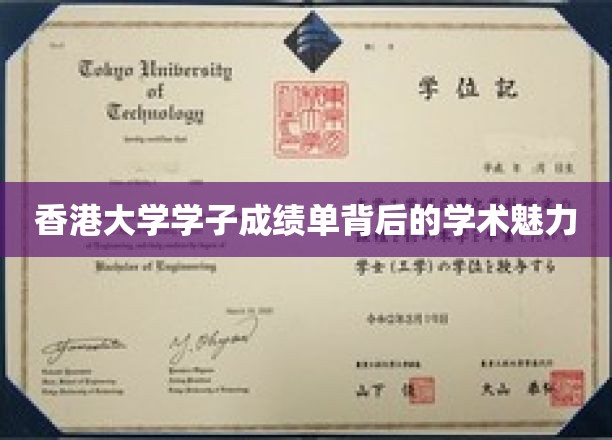 解码港大精英，成绩单中的学术风采