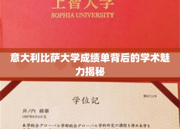 意大利比萨大学成绩单背后的学术魅力揭秘