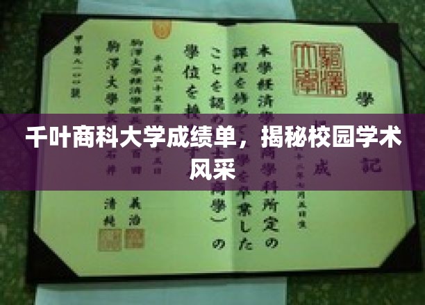 千叶商科大学风采展现，一纸成绩单背后的学术魅力