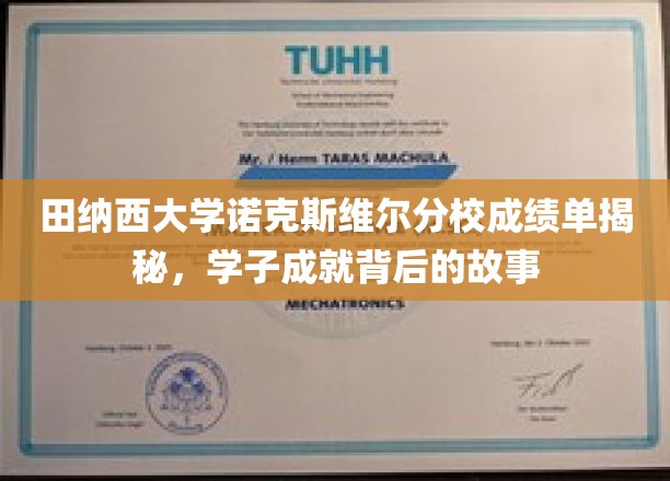 田纳西大学诺克斯维尔分校成绩单揭秘，探寻学子成就背后的故事