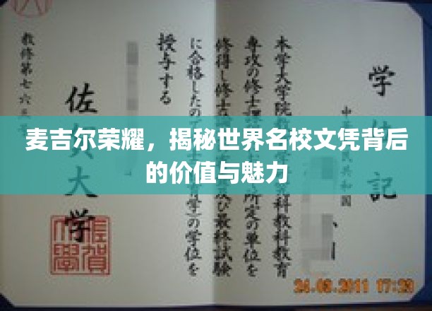 解码麦吉尔之光，探寻国际名校学历的深层价值与独特魅力