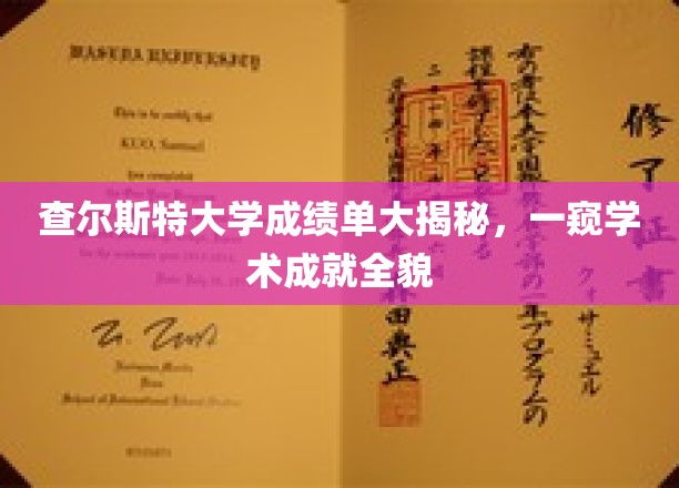 揭开查尔斯特大学成绩单面纱，揭秘学术实力与成就之光