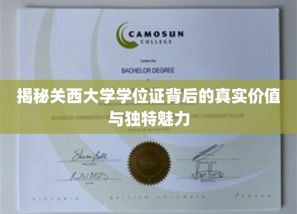 揭秘关西大学学位证的内涵价值与独特魅力