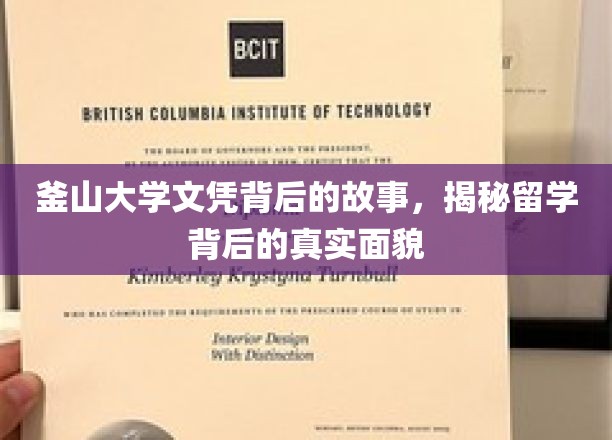 留学背后，釜山大学文凭的传奇历程