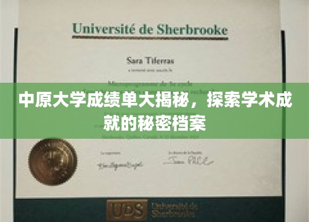 揭开中原大学成绩单背后的学术传奇，揭秘学霸档案的秘密面纱