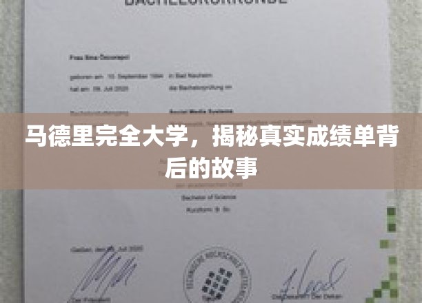 马德里完全大学，揭秘真实成绩单背后的故事