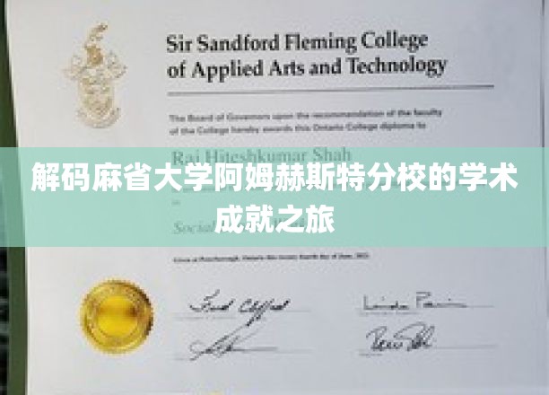 解码麻省大学阿姆赫斯特分校的学术成就之旅