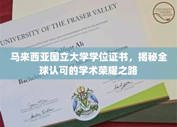 马来西亚国立大学学位证书，揭秘全球认可的学术荣耀之路