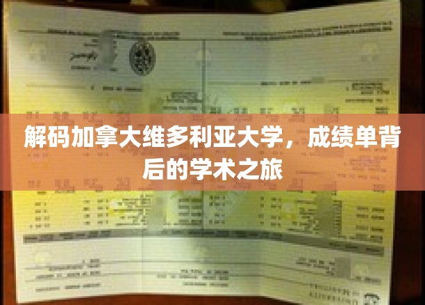 探索维多利亚大学，揭秘成绩单背后的精彩学术历程