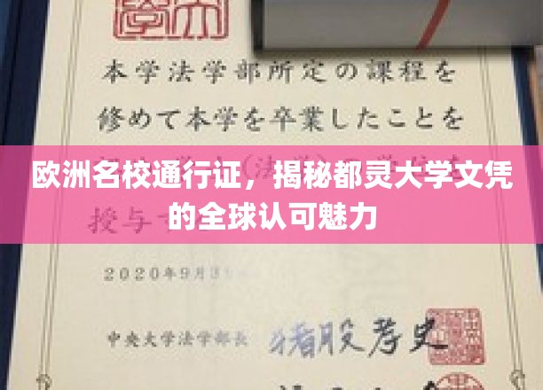 欧洲名校通行证，揭示都灵大学文凭的全球认可魅力
