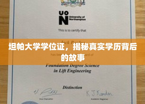 探寻坦帕大学学位证，揭开学历认证背后的传奇篇章