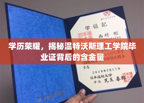 温特沃斯理工学院毕业证，探寻学历背后的璀璨价值