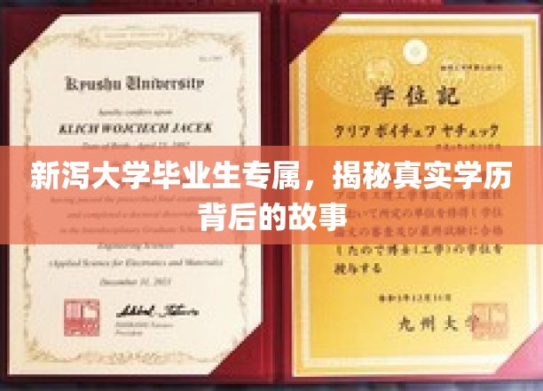 解码新泻大学毕业生，学历背后的独特成长轨迹