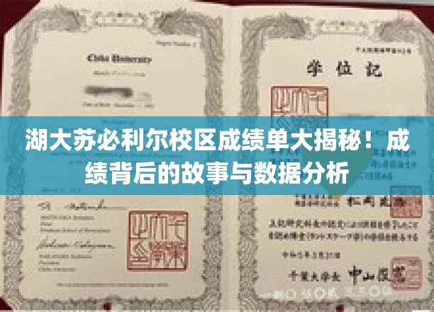 湖大苏必利尔校区成绩单大揭秘！成绩背后的故事与数据分析
