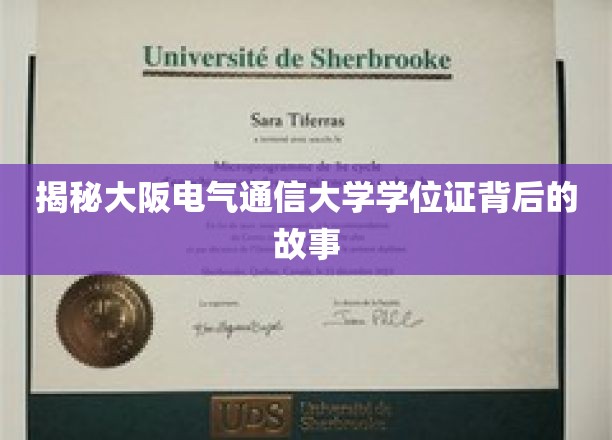 揭秘大阪电气通信大学学位证背后的故事