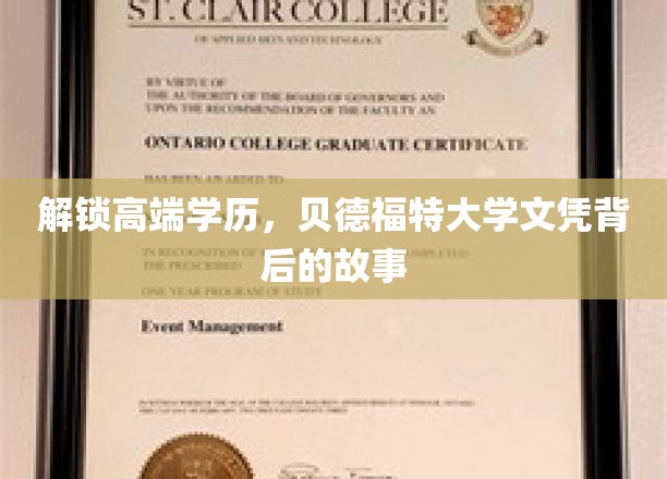 探寻贝德福特大学学位的尊贵密码