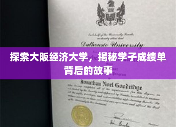 解码大阪经济大学，成绩单背后的青春轨迹
