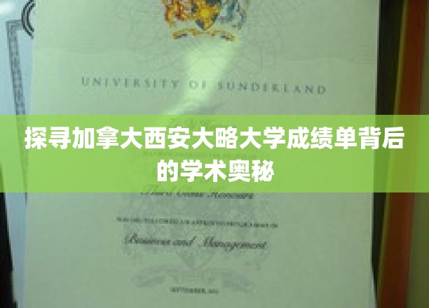 解锁加拿大西安大略大学成绩单的学术密码