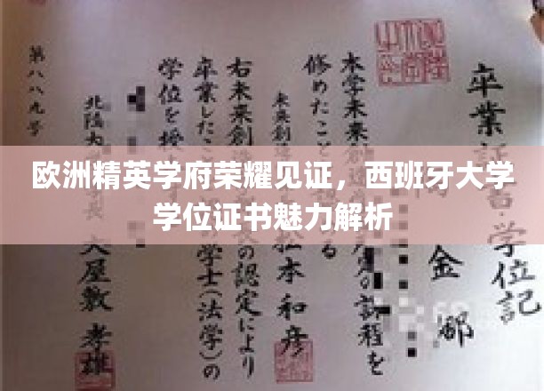 解码西班牙高等学府荣耀，学位证书背后的非凡魅力